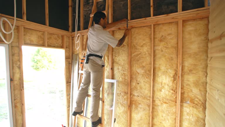 Best Batt and Roll Insulation  in Avondale, LA