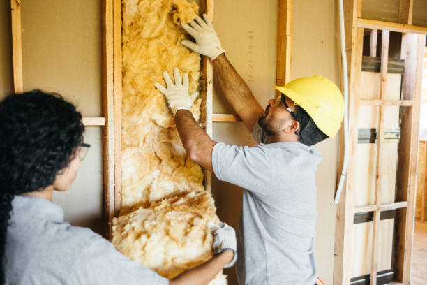 Best Insulation Air Sealing  in Avondale, LA