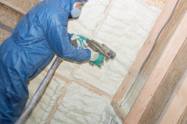 Best Insulation for New Construction  in Avondale, LA